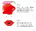 4.webp