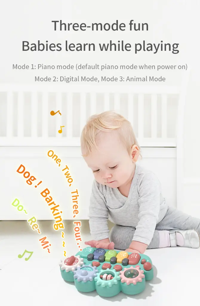 5.webp