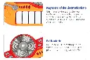 4.webp