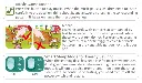 10.webp