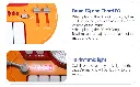 6.webp