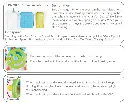 6.webp