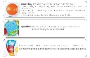 7.webp