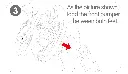 11.webp