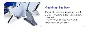 14.webp